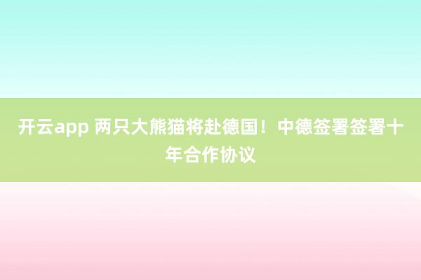 开云app 两只大熊猫将赴德国！中德签署签署十年合作协议